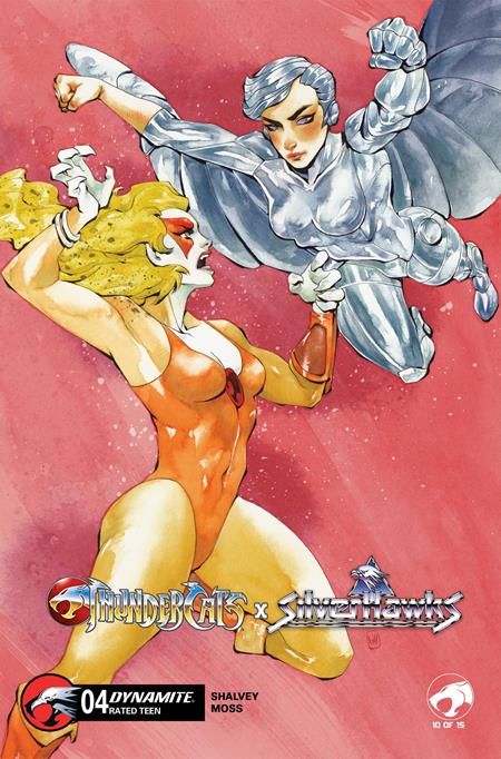 THUNDERCATS X SILVERHAWKS #4 COVER D CHUMA HILL VARIANT