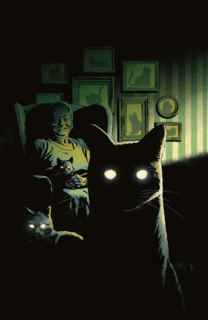 Stuff of Nightmares: The Cat in the Coffin #1 Adam Gorham Variant