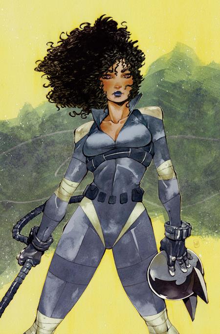 ABSOLUTE CATWOMAN #3 (OF 6) COVER D CHUMA HILL CARD STOCK VARIANT