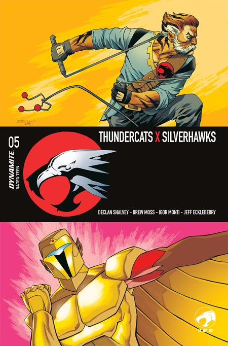 THUNDERCATS X SILVERHAWKS #5 COVER A DECLAN SHALVEY