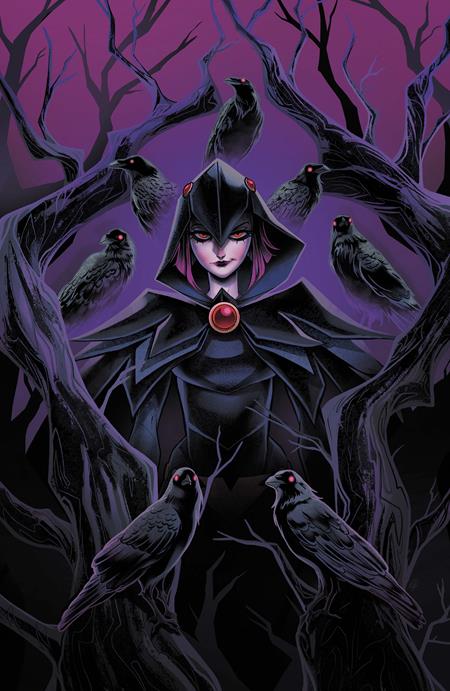 DC'S QUOTH THE RAVEN WHATEVER #1 (ONE SHOT) COVER A SWEENEY BOO