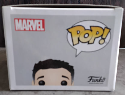 Pop! Thor Ragnarok - Bruce Banner #250 Toys R Us Exclusive