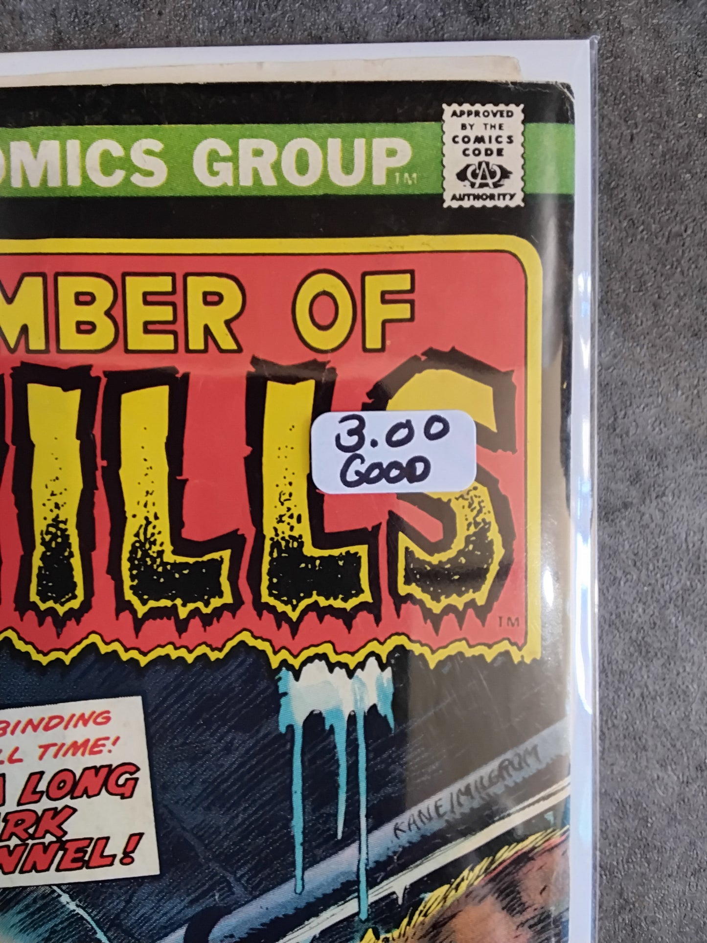 Chamber Of Chills #14 (GD)