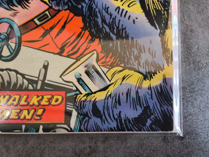 Weird Wonder Tales #07 (VG)