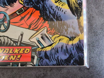 Weird Wonder Tales #07 (VG)