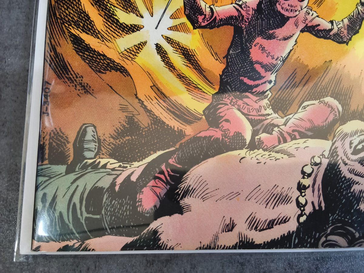 Phantom Stranger #29 (VG)