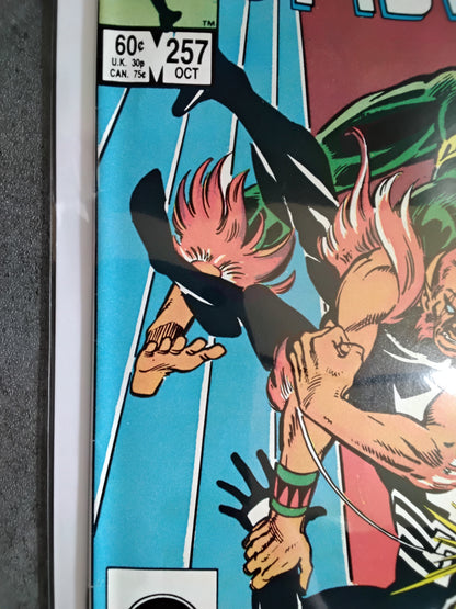 Amazing Spider-Man Vol1 #257 (VG)