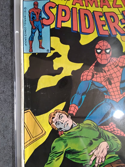 Amazing Spider-Man Vol 1 #176 Newsstand Edition (Good)