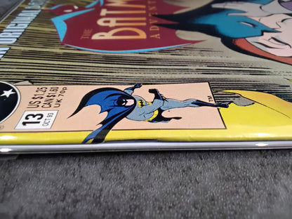 Batman Adventures Vol 1 #13