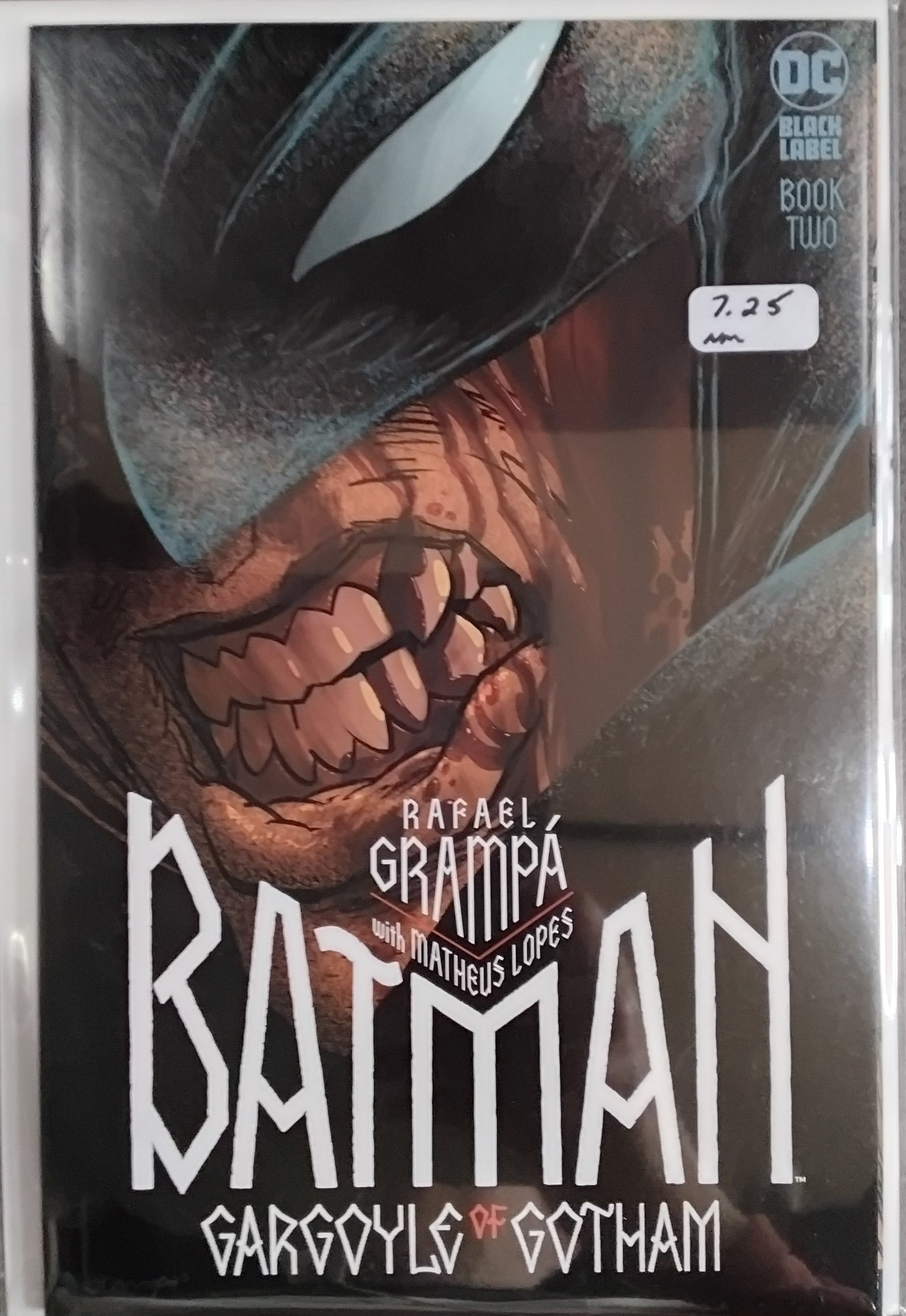 Batman: Gargoyle Of Gotham #2