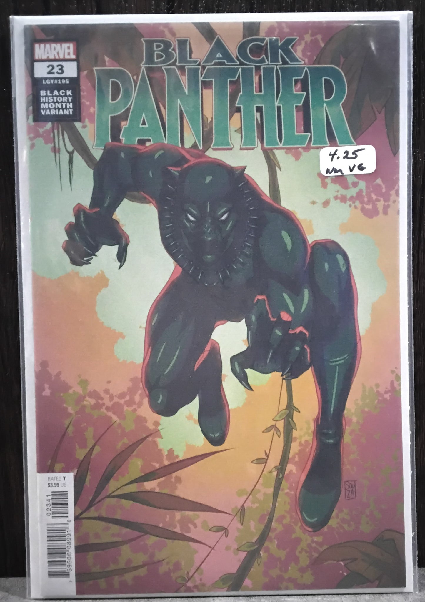 Black Panther Vol 6 #23 Ernanda Souza Black History Month Variant Cover