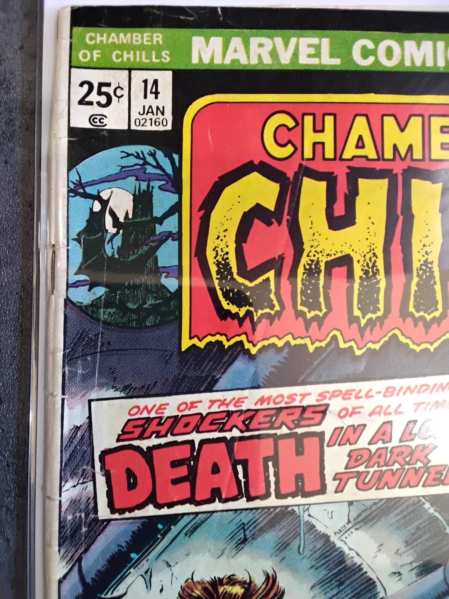 Chamber Of Chills #14 (GD)