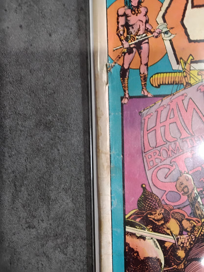 Conan The Barbarian Vol 1 #019