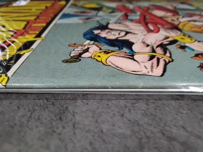 Conan The Barbarian Vol 1 #025