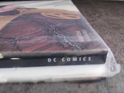 Detective Comics (Rebirth) #1027 Frank Quitely Batman &  Robin Variant Cover