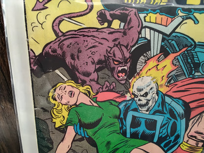 Ghost Rider Vol 1 #17