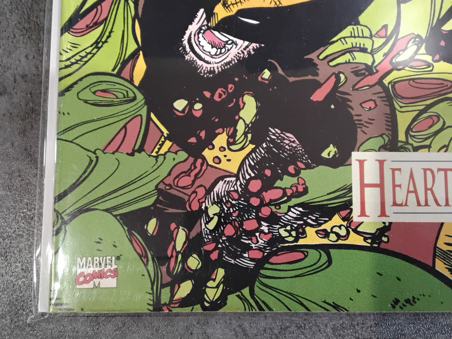Ghost Rider/Wolverine/Punisher: Hearts Of Darkness #1