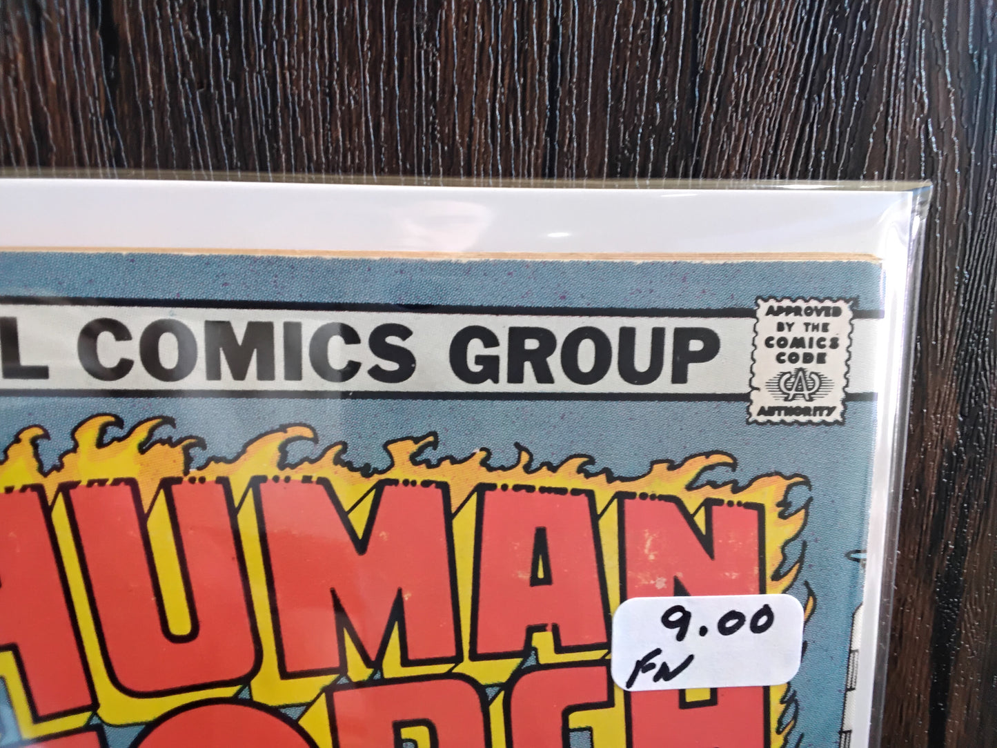 Human Torch #3