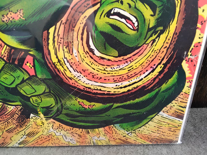 Incredible Hulk Vol 1 #113