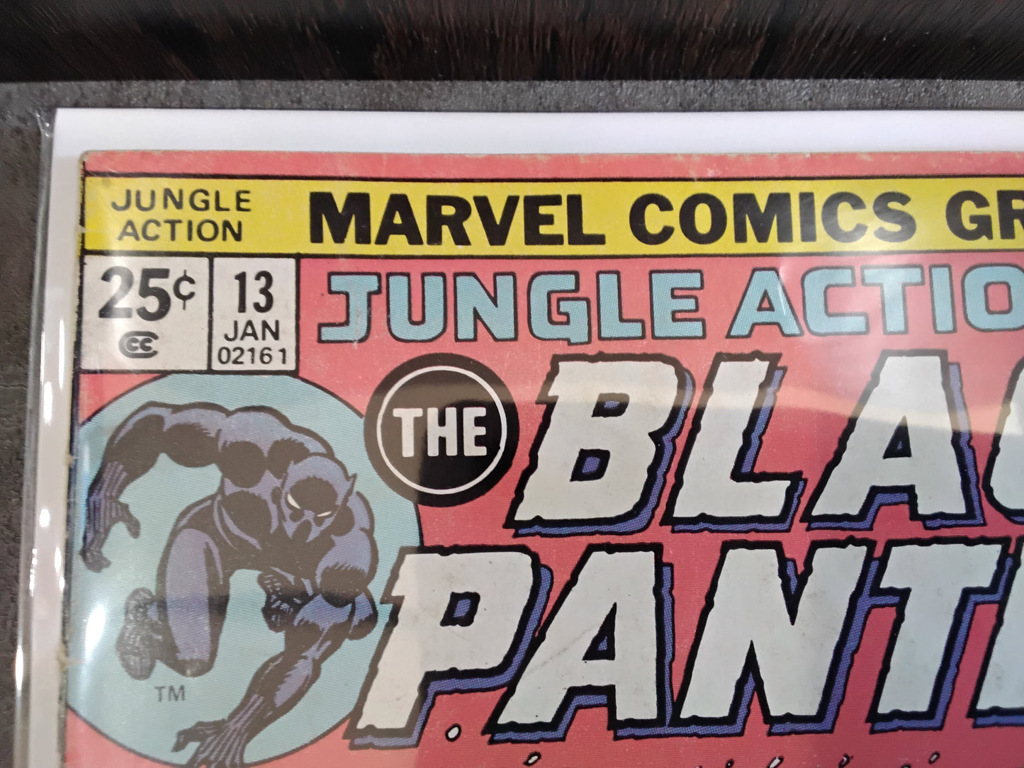 Jungle Action #13