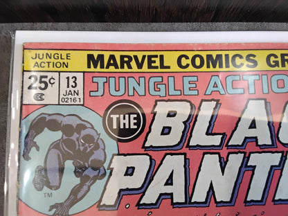 Jungle Action #13