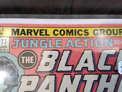 Jungle Action #13