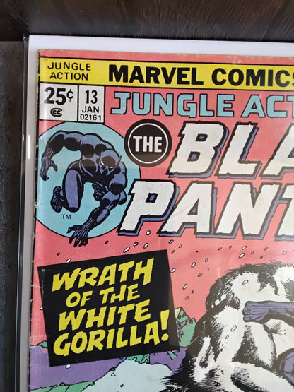 Jungle Action #13