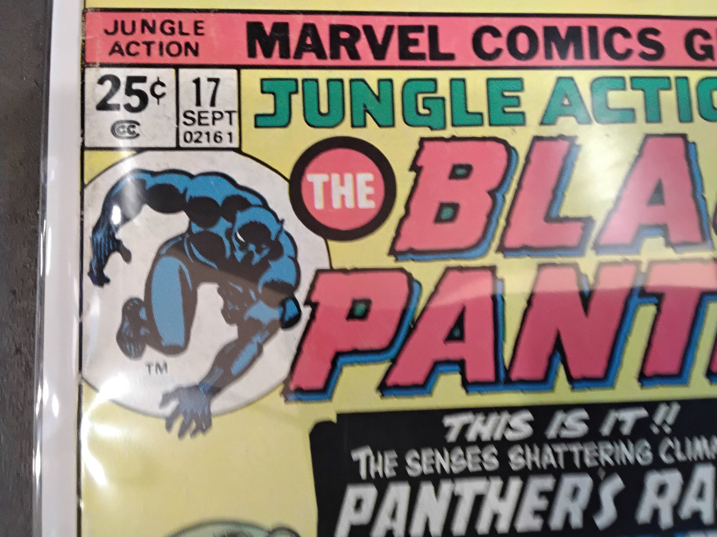 Jungle Action #17