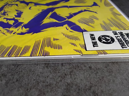 Legion Of Super-Heroes Vol 2 #302 (NM)