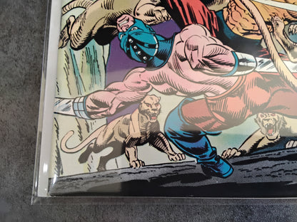 Master Of Kung-Fu Vol 1 #030