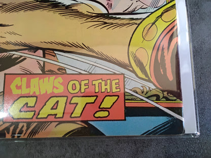Master Of Kung-Fu Vol 1 #038