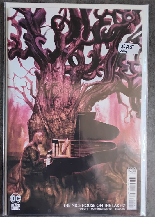 Nice House On The Lake #02 Anand Radhakrishnan Card Stock Variant Cover
