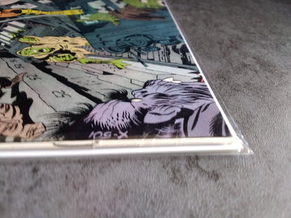 OMAC Vol 1 #6