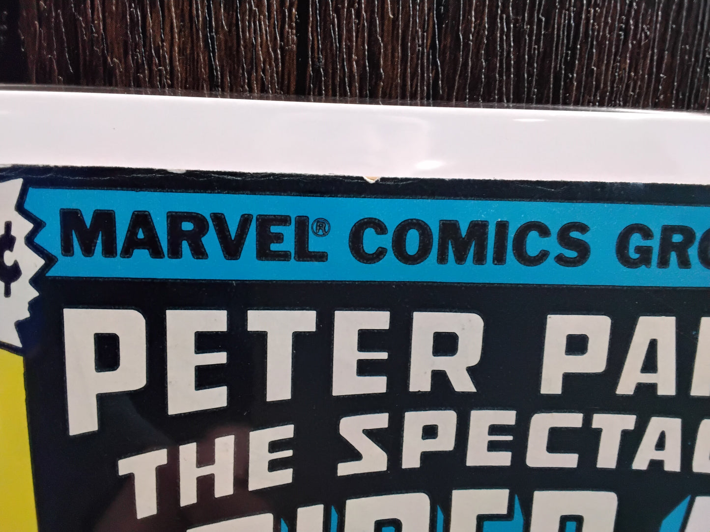 Spectacular Spider-Man Vol 1 #024 Newsstand Edition