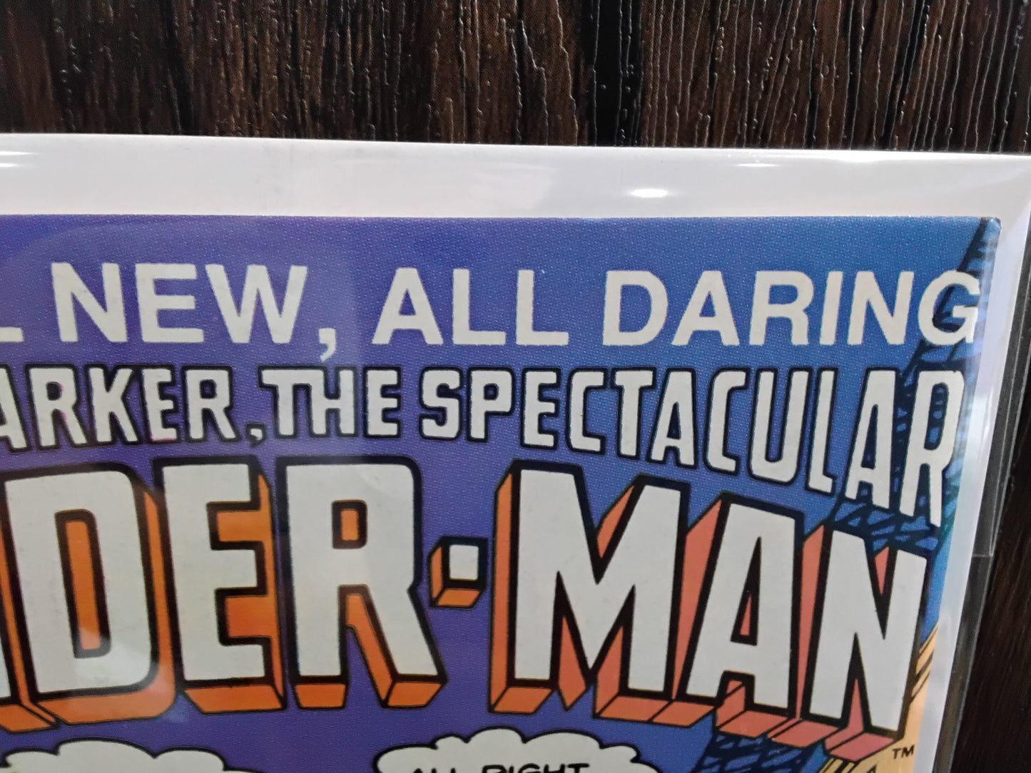 Spectacular Spider-Man Vol 1 #107 (VG)