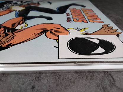 Spectacular Spider-Man Vol 1 #116 (NM)