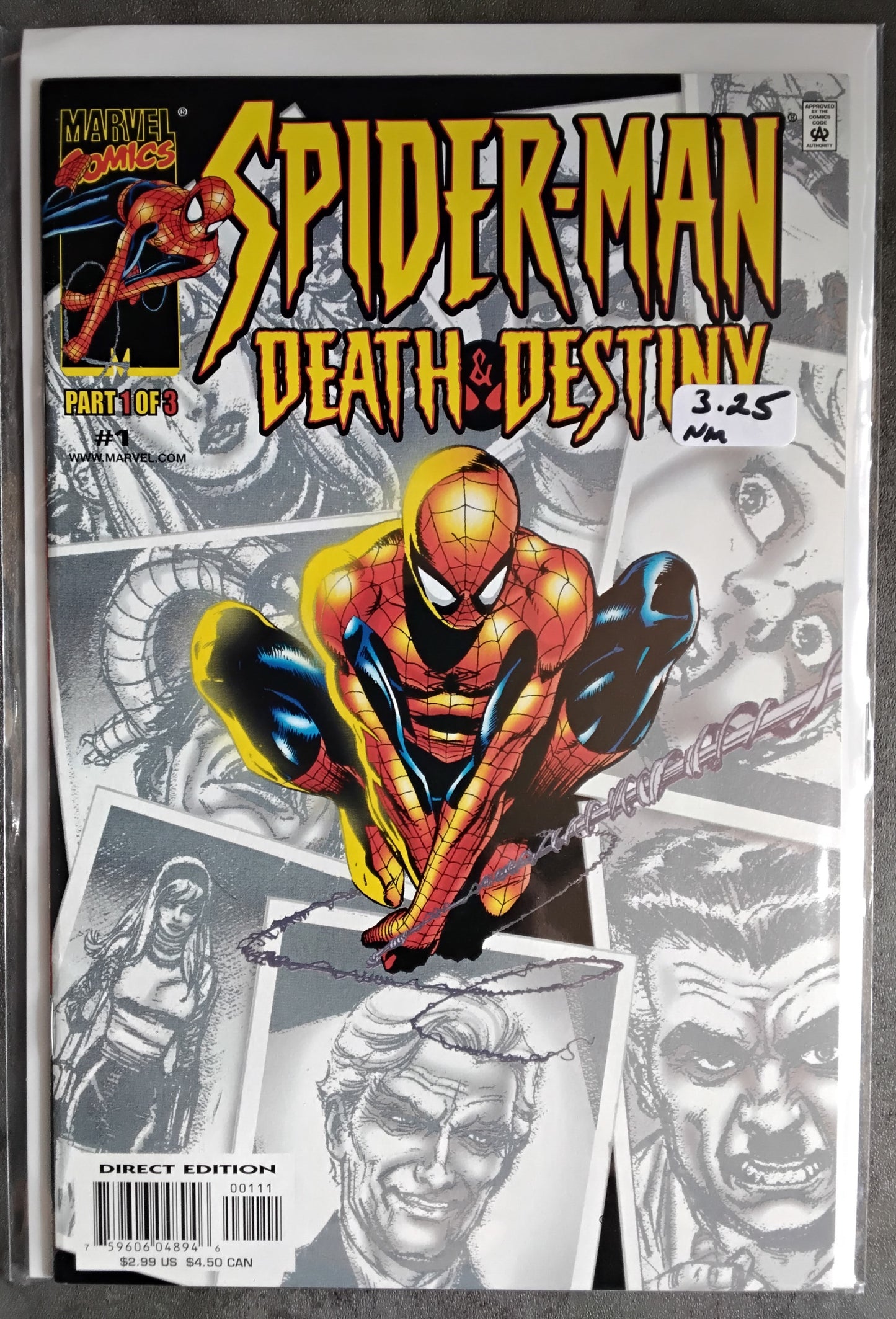 Spider-Man: Death And Destiny #1
