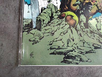 Swamp Thing Vol 1 #13 (FN)