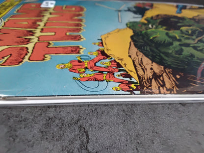 Swamp Thing Vol 1 #22 (VG)