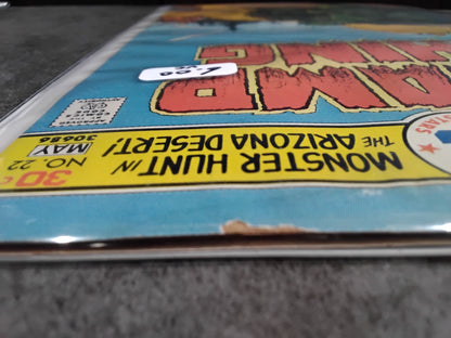 Swamp Thing Vol 1 #22 (VG)