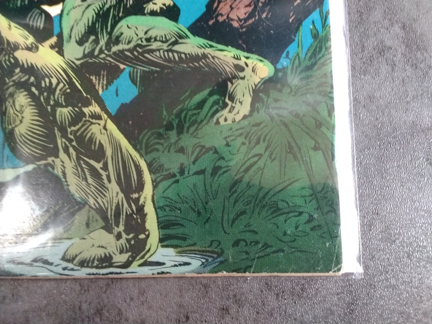 Swamp Thing Vol 1 #20 (VG)