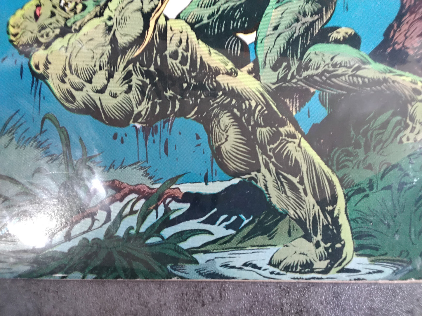 Swamp Thing Vol 1 #20 (VG)