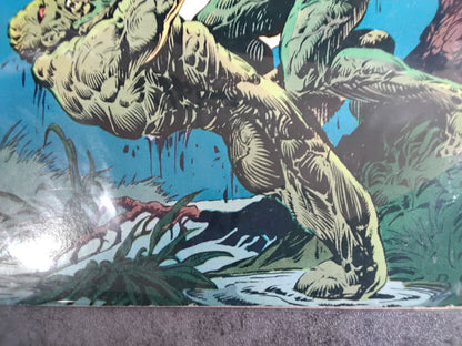 Swamp Thing Vol 1 #20 (VG)