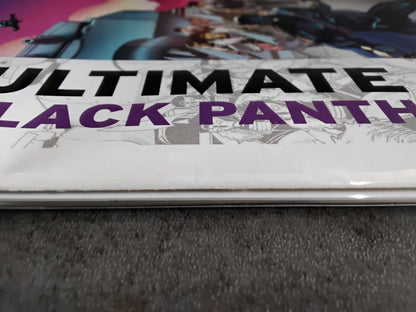 Ultimate Black Panther #22