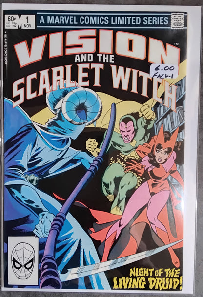 Vision And The Scarlet Witch Vol 2 #01