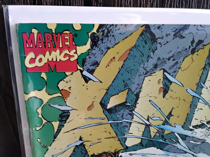 X-Men Vol 2 #001 Wolverine And Cyclops Variant Cover