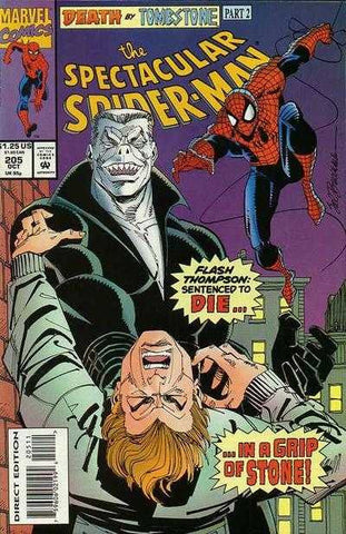 Spectacular Spider-Man Vol. 1 #205