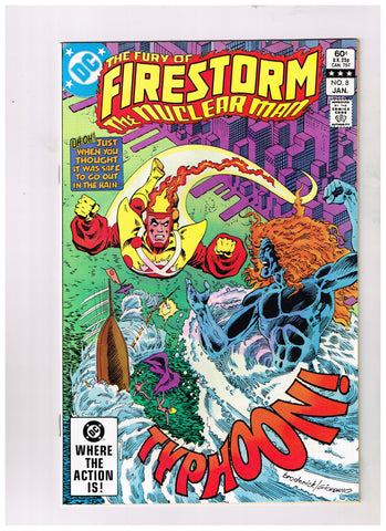 Fury Of Firestorm #08
